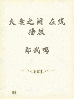 夫妻之间 在线播放